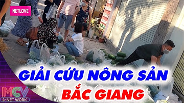 Giải cứu NÔNG SẢN BẮC GIANG trong mùa DỊCH, bất ngờ chàng trai bỏ tiền túi để giúp bà con