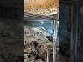 Makkah madina umrah live Madina live makkah live hajj 2k25 naat newnaatsharif