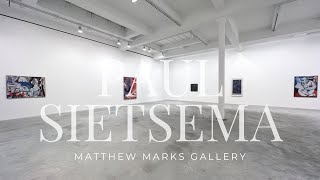 Exhibition Walkthrough: Paul Sietsema at Matthew Marks Gallery | ArtAsForm