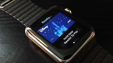 Apple pay computational artifact