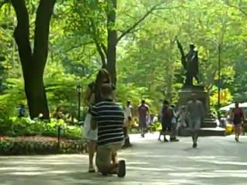 Marriage Proposal in Central Park