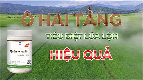 DIỆT SẠCH 95% LÚA CỎ, LÚA MA VỚI HUYỀN THOẠI  -  Ô HAI TẦNG