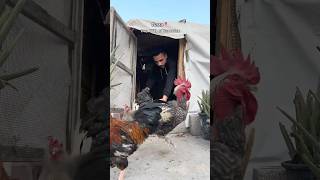 Day 27Th Of Ramadan Help Me 972592058858