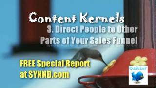 Content Kernels #8 4 Twitter Tips for Every Tweet! How SYNND Syndicates Content