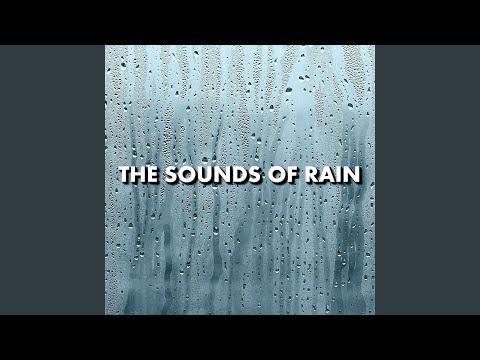 Lively Daylight Rain Sounds