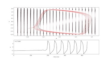 Fitzhugh-Nagumo Model Ramp Input