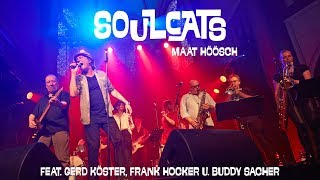 Maat höösch - Soulcats feat. Köster/Hocker &amp; Buddy Sacher