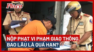 How long is it considered overdue to pay a traffic violation fine - PLO