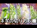 ネギの切り方5種！ 小口切り、白髪ねぎ、みじん切りなどを紹介します。　N.D.Kitchen