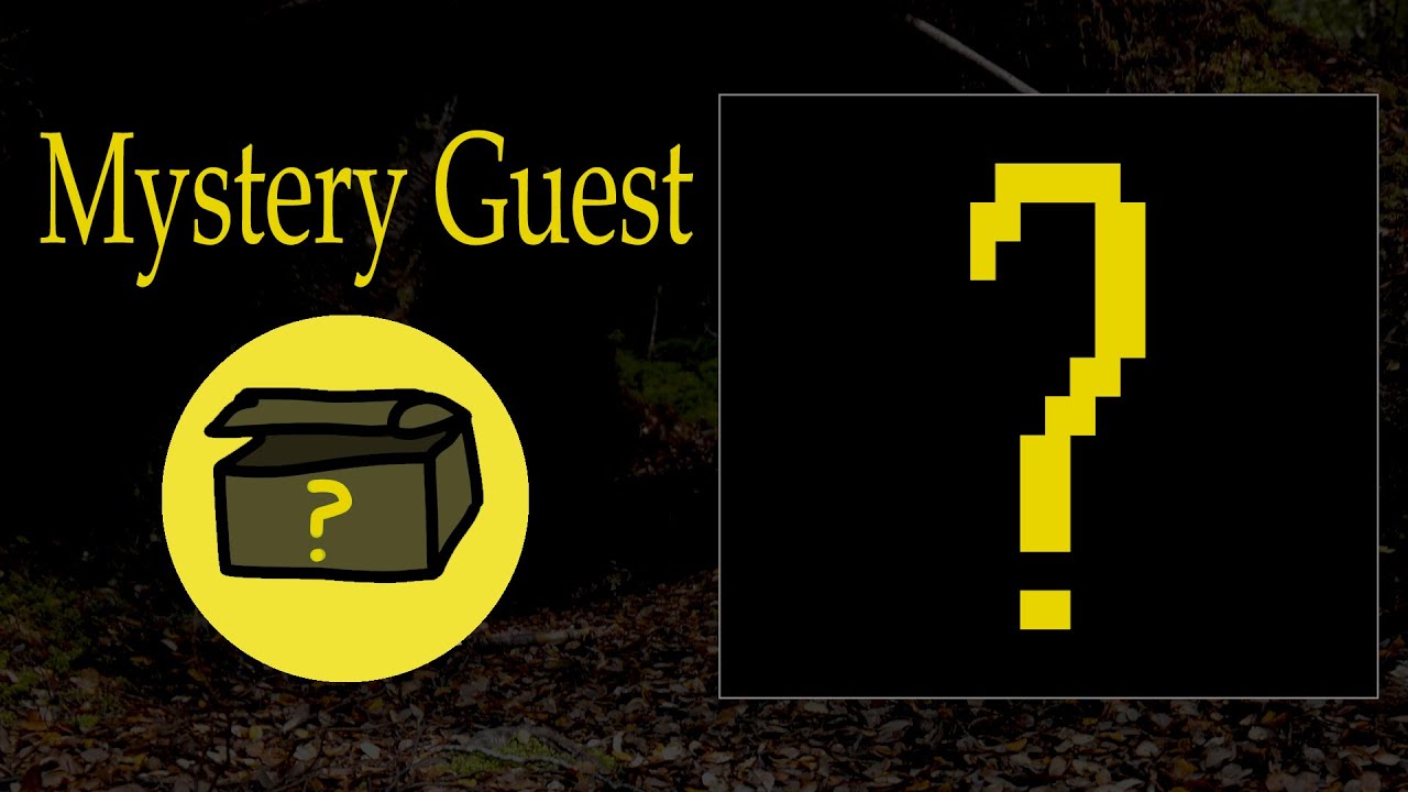 Mystery Guest I A Special Skiller Interview!