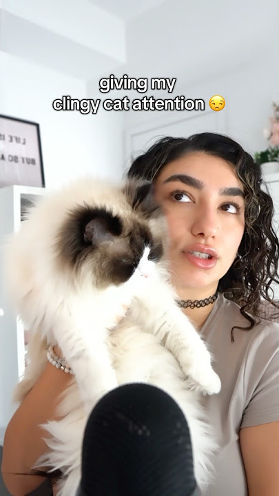 would you meow for attention? 👀 #asmr
