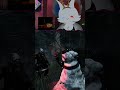 the way he just looked | #westlowfindings on #Twitch
