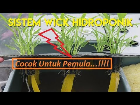 Hidroponik Sistem WICK, Cocok Bagi Pemula ...!!!