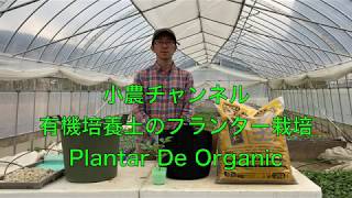 プランターで有機栽培をしよう！（植え付け編）Plantar De Organic