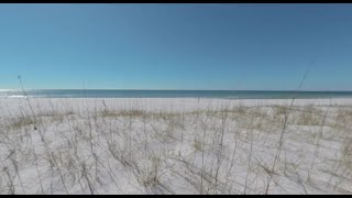 Beach View from Natural Dunes, Pensacola, VR 180 6k