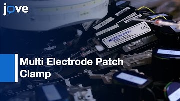 Multi Electrode Patch Clamp System | Protocol Preview