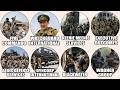 Every Mercenary Group Explained in 14 Minutes.