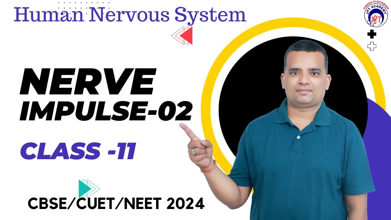 Human nervous system | Nerve Impulse | | Class 11 | 