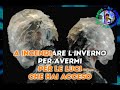 Giorgia &amp; Marco Mengoni - Come neve (con cori) (karaoke - fair use)