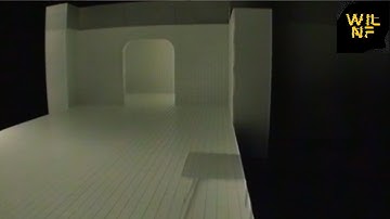 WilNF - Dreampools (How to Glitch Out of Bounds)