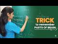 Easiest Trick to Remember Parts of Brain | Med MadeEasy