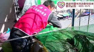 受困屋頂的黑喵