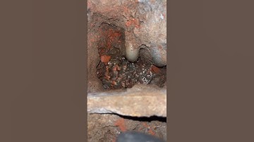 Dò tìm rò rỉ nước tại Bình Tân #diennuocnhutrieu #diennuoc #chamchapdien #dotimrorinuoc