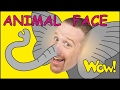 Animal Face for Kids   MORE | Stories for Children | Steve and Maggie from Wow English TV