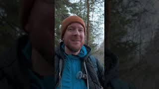 My favorite photo from Tyresta national park