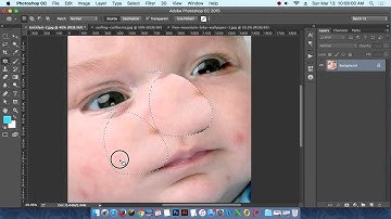 14th Class Batch 14 Graphics and Web UI design Bangla Training Tutorial