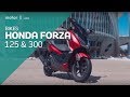 Motor1 ride  essai honda forza 125 et 300