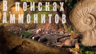 видео: В поисках аммонитов #покатушки_покопушки картинка: В поисках аммонитов #покатушки_покопушки