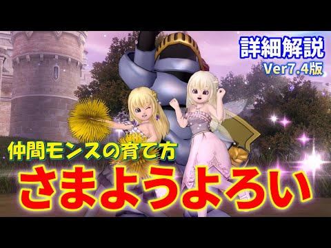 Ver7.4版】さまようよろいの詳細解説～最強クラスの防御性能と