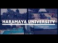 Haramaya university overview   