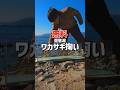 【解説】琵琶湖のワカサギ掬い2024年#ガサガサ #琵琶湖 #ワカサギ