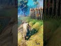 Random Viking Banter | It's Been a YEAR