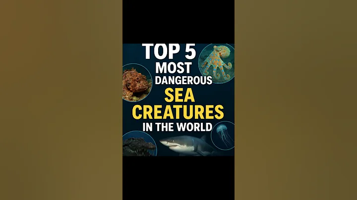Top 5 Most Dangerous Sea Creatures in the World!  #marinelife #deepsea #underwaterworld