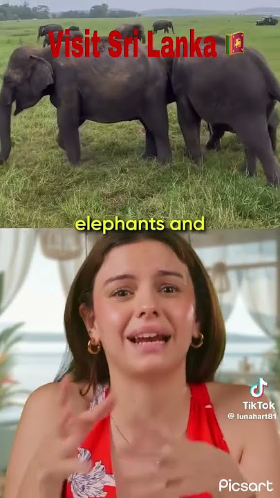https://vt.tiktok.com/ZSktagDPY/Credits go to the respective owners #viral #visitsrilanka