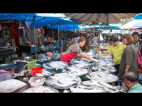 Thailand Trip Part 4: Uncle and Aunt in Trat Province - Episode 78