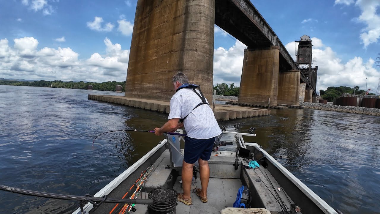 Intense Encounter With A Bridge Monster