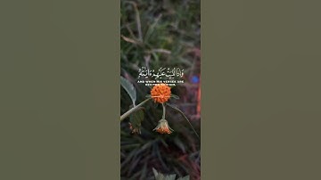 تلاوة تقشعر لها الأبدان🥺 ( إِنَّما الْـمُؤمِنُونَ الَّذِينَ إِذَا ذُكِرَ اللهُ وَجِلَتْ قُلُوبُهُم)