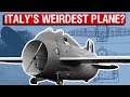 Italy’s Bizarre Flying Barrel | The Stipa Caproni