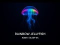 Sleep & Calm｜Rainbow Moon Jellyfish｜6hr 4K Water Surface & Bubbles｜ASMR