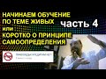 НАЧИНАЕМ ОБУЧЕНИЕ ПО ТЕМЕ ЖИВЫХ или КОРОТКО О ПРИНЦИПЕ САМООПРЕДЕЛЕНИЯ 2021.03.24 Сургут часть 4