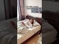 インターホンがなった時の男女の違い！🤣#カップル #あるある