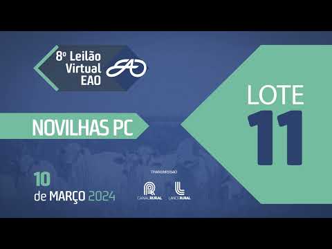 LOTE 11