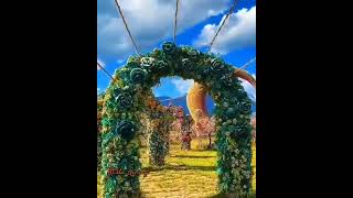 Ömrümüzün Son Demi - Bülent Ersoy 🎙️🎼🎙️