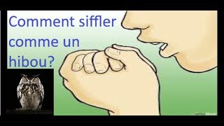 Comment siffler comme une chouette? How to whistle like a owl? Resimi
