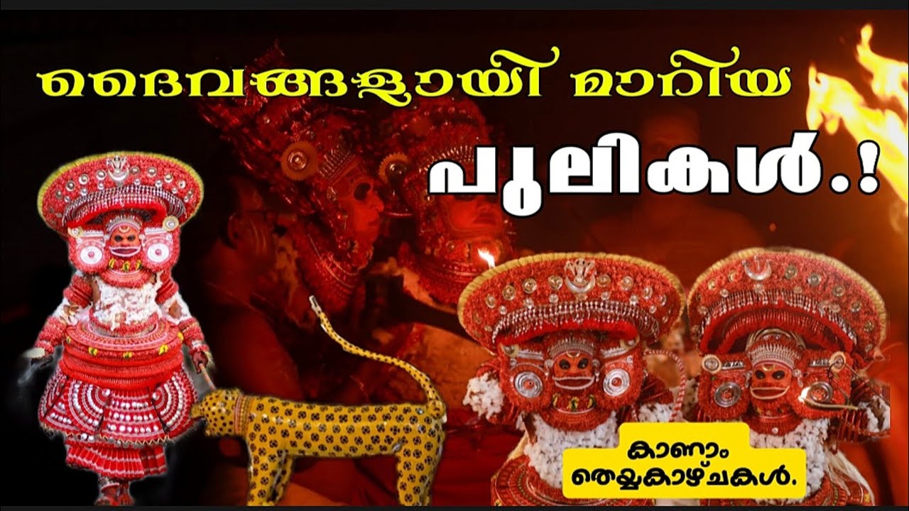 പുലി ദൈവങ്ങളെ കണ്ടാലോ?|കണ്ണൂരിലെ തെയ്യ കാഴ്ചകളിലൂടെ.| Vlog | Theyyam | Kannur | Travel | Videography