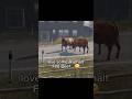 Forget Grass Fed, Now Introducing Asphalt Fed Beef! 😆 #dayz #gaming #shorts